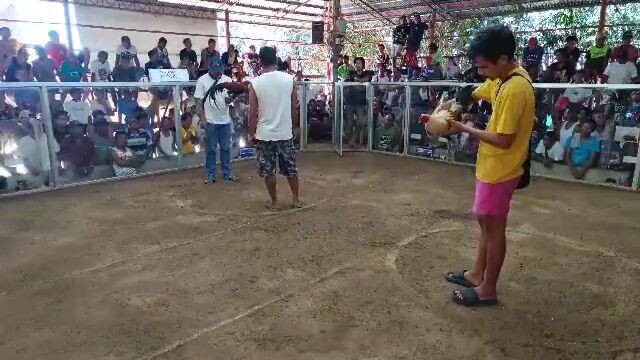 Selat pa champ damn ( draw )