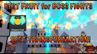 *NEW* PHOENIX FRUIT| BEST FOR BOSS FIGHTS| ANIME FIGHTING SIMULATOR