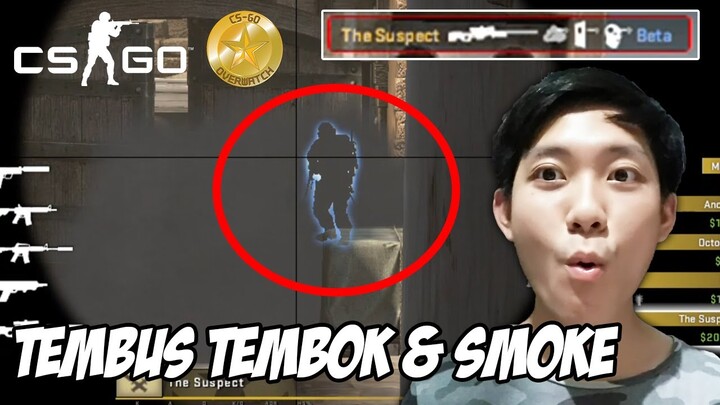 Hacker Wallhack CSGO Tembus Tembok dan Smoke - CSGO Overwatch Indonesia