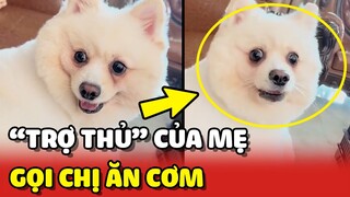 Boss trở thành TRỢ THỦ ĐẮC LỰC của mẹ nhờ CÁI MIỆNG nhanh nhảu 😂 | Yêu Lu