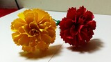 Hoa giấy handmade / Làm hoa cẩm chướng từ giấy màu / Paper Flower Craft Easy