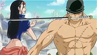 just zoro protecting robin