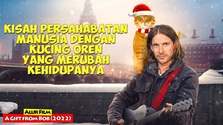 Kisah Persahabatan Manusia Dengan Kucing Oren | Alur Cerita Film A GIFT FROM BOB 2022