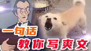 一句话教你写爽文