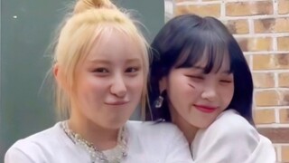 矮粉在线发疯！李彩演+金采源KNOCK挑战！