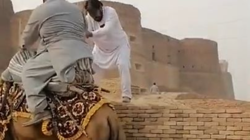 fatty man vs camel  riding 🤣🤣