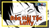 [Đảo Hải Tặc/AMV] Chúc mừng sinh nhật, Luffy