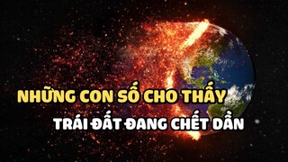 Những con số cho thấy Trái Đất đang chết dần | Bạn có biết?