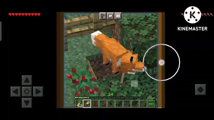 My Minecraft pet fox was spinning, so I made this. 😅😂