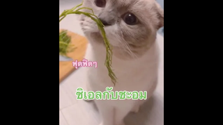 กลิ่นมันแหม่งๆ 🤢 เมื่อชิเอลดมชะอมครั้งแรก 😹