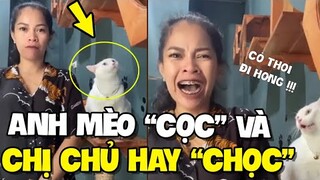 Chú mèo NÓNG NẢY nhưng có cô chủ SƠ HỞ LÀ HÁT, SƠ HỞ LÀ HÁT | TIN GIẢI TRÍ