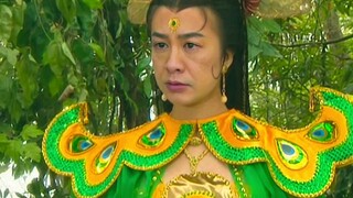 [An Xin x Gao Qiqiang] เวอร์ชั่นสุดเพี้ยนของเจ้าหญิงนกยูง!