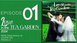 🇨🇳EP1 Love In The Tea Garden (2024)