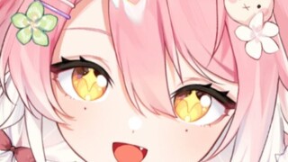 [Perkenalan diri] Anri Shisui, rubah merah muda yang tertangkap mencuri makanan dan debut⭐