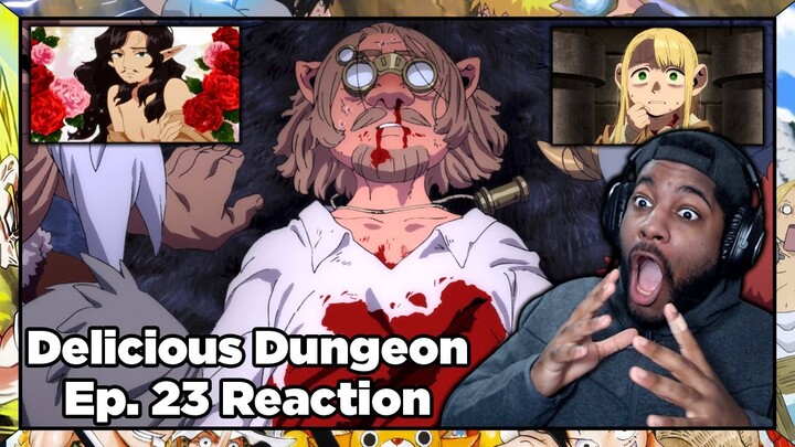 WHAT IS GOING ON IN THIS EPISODE??? Delicious in Dungeon Episode 23 Reaction