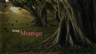Montigo Song | English make feel love