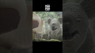 Big kitty and Australian puff ball