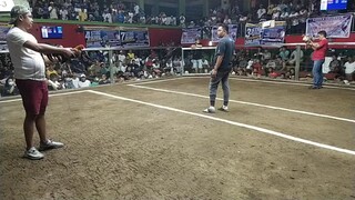 Win @ Fantastic Coliseum