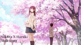 Sakura X Haruki|Muli Song [AMV]
