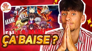 Ma réaction sur " Akame ga Kill! EN 13 MINUTES " de RE: TAKE