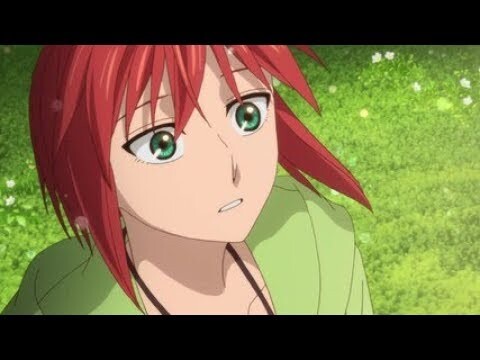 The Ancient Magus' Bride [AMV] - Silence