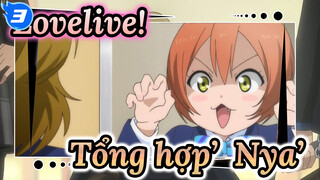 Nya~ Nya~ Nya! Lovelive - Tổng hợp Hoshizora 'nya'_3