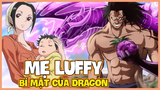 Mẹ Luffy - Bí mật ĐIÊN RỒ nhất về Monkey D. Dragon #OnePiece