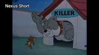 Tom & Jerry (Ep 26.3) Solid Serenade (phần 3) #TomandJerry