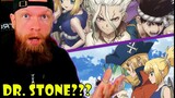 Dr. STONE Opening and Endings Reaction