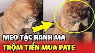 Bắt quả tang HOÀNG THƯỢNG TRỘM TIỀN của mẹ để mua PATE vì quá thèm 😂 | Yêu Lu