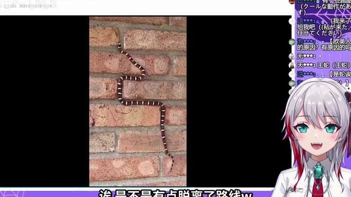 Japanese natural girl watches "Realistic Snake, you will definitely be shocked when you see it in re