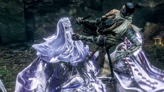 Sekiro Shadows Die Twice - Corrupted Monk / No Damage