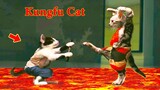Thú Cưng TV | Mèo Kungfu #2 | mèo vui nhộn | Pets funny cute smart dog