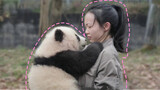 I don't even know if I should be looking at the person or the panda now.