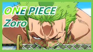 ONE PIECE|[Zoro]Aku lihat ONE PIECE untuk pria ini!