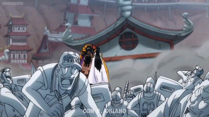 Haki Rayleigh 😱🔥