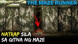 NATRAP Ang Ilang Grupo Ng Mga Kabataan Sa Isang MAZE | The Maze Runner Movie Recap Tagalog