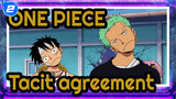 ONE PIECE|[Tacit agreement of Straw Hat Pirates]Always stop in odd places_2