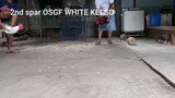 White kelso
