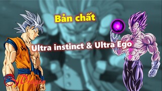 Bản chất của Ultra instinct và Ultra Ego