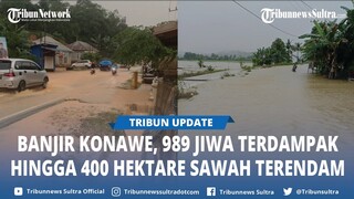 Banjir Konawe Sulawesi Tenggara, 989 Jiwa Terdampak di 8 Kecamatan, 400 Hektare Sawah Terendam