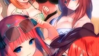 Gotoubun No Hayanome Fans