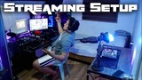 DIY Streaming Lighting & Setup Tour and Review! jccaloygaming
