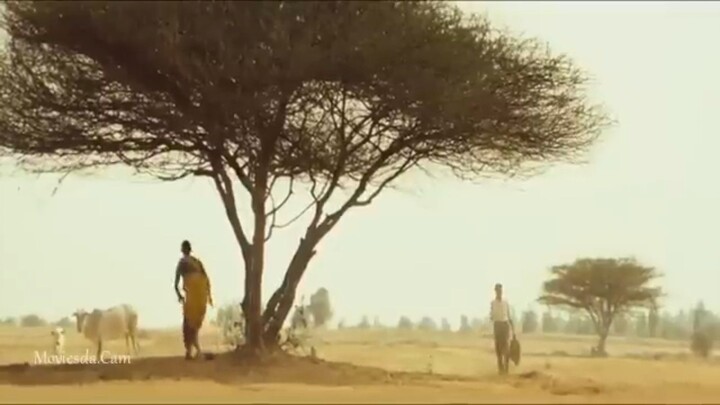 vaagai soodava