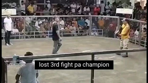 lost 3rd fight pa champion entry name EVF