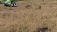 Hành Tinh Trái Đất 3 EP 8 [Sub Việt]