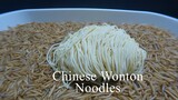 10,000 MEALWORMS vs CHINESE WONTON NOODLES