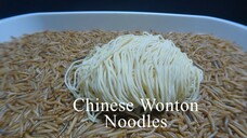 10,000 MEALWORMS vs CHINESE WONTON NOODLES