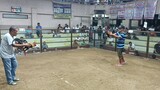 Win Allen Roundhead 3rd Fight at 3Cock Derby