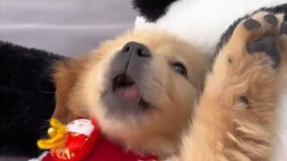 Ternyata bukan mencium bibir yang aku benci